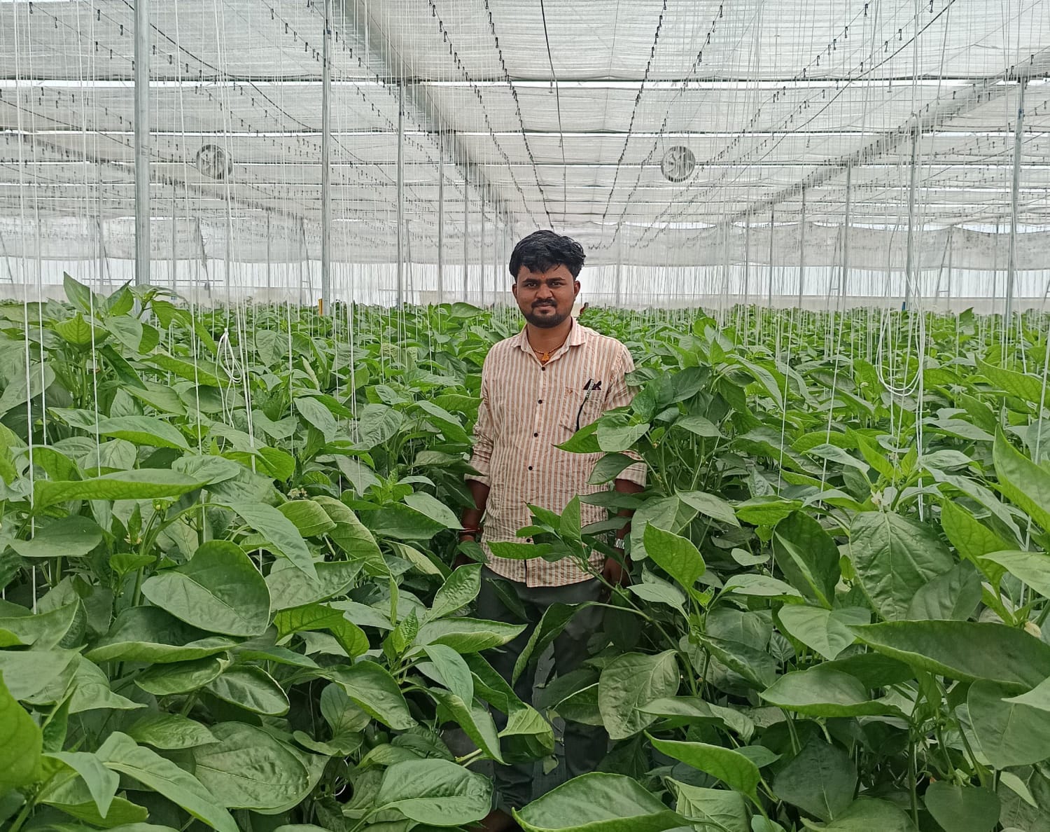 whatsapp image 2026 04 24 at 12.37.28 pm